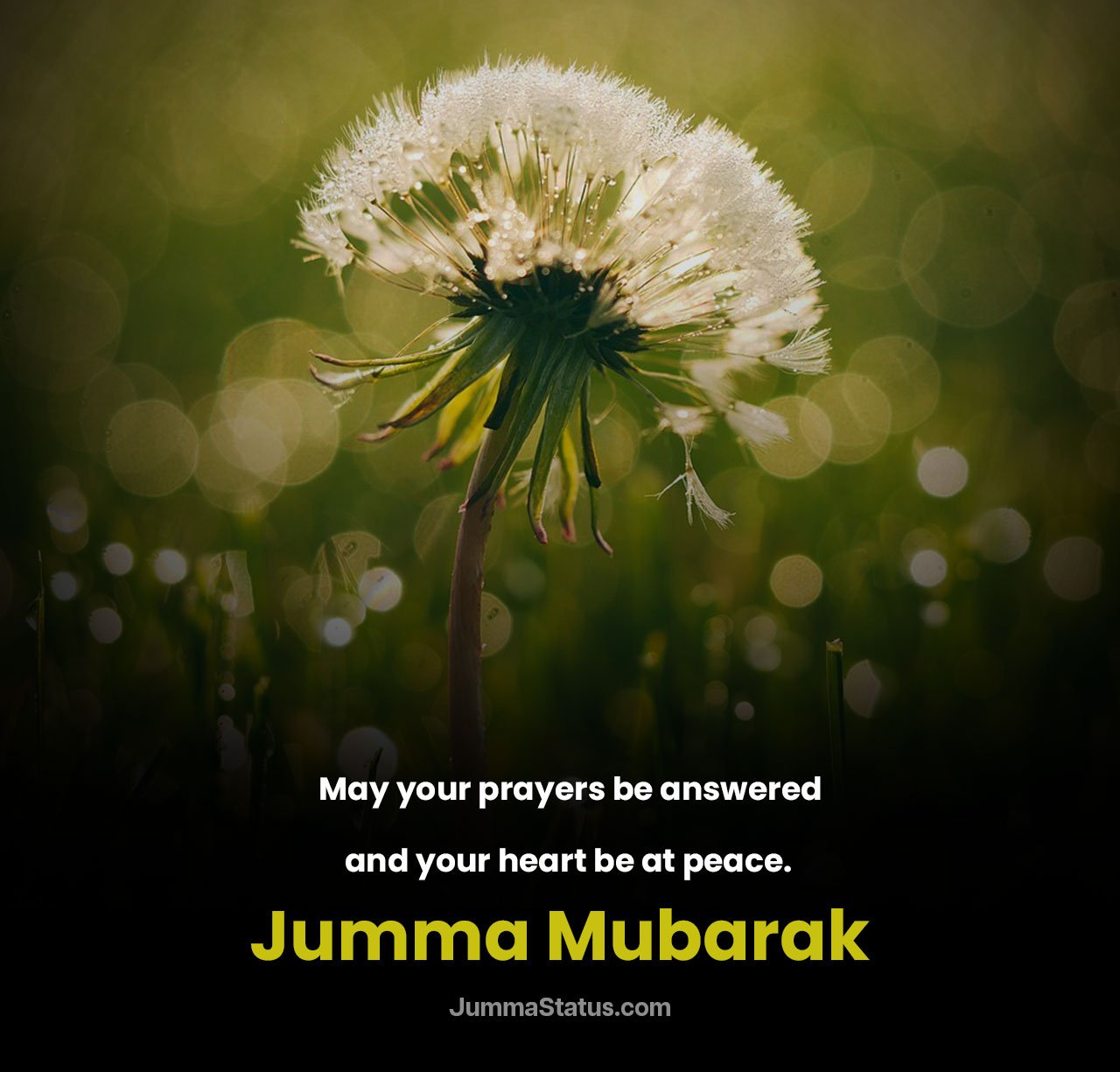 Inspirational-Jumma-Mubarak-Quotes-4 Beautiful Jumma Mubarak DP New