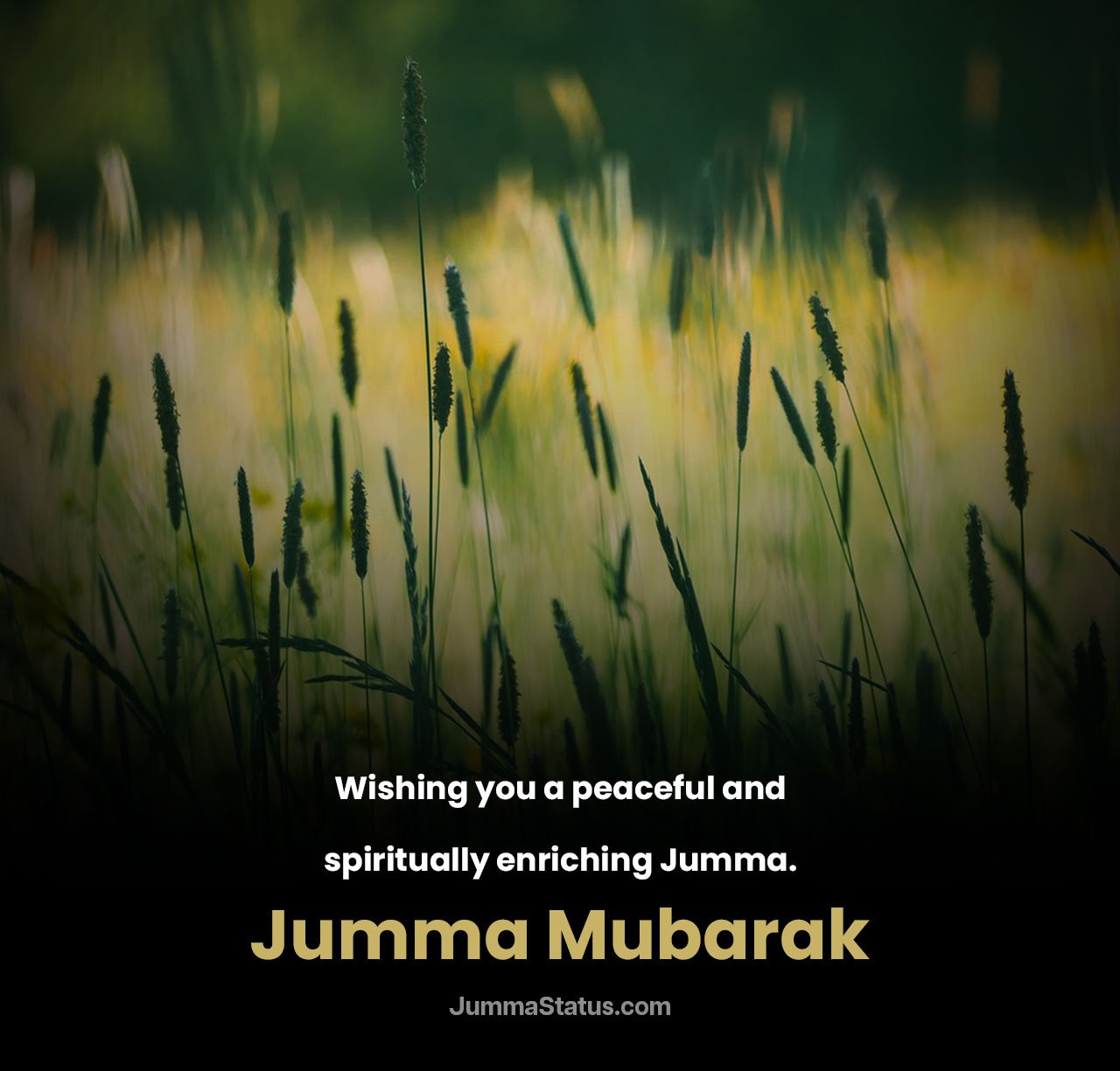 Inspirational-Jumma-Mubarak-Quotes-6 Beautiful Jumma Mubarak DP New