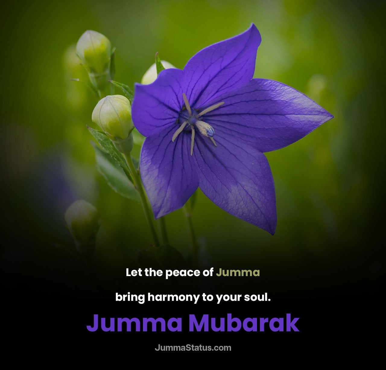 Inspirational-Jumma-Mubarak-Quotes-9 Beautiful Jumma Mubarak DP New