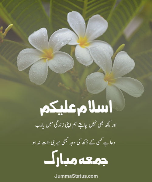 Jumma-Mubarak-Dp-images-7 Beautiful Jumma Mubarak DP