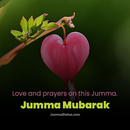Jumma-Mubarak-Dp-images-91 Beautiful Jumma Mubarak DP for Your Girlfriend
