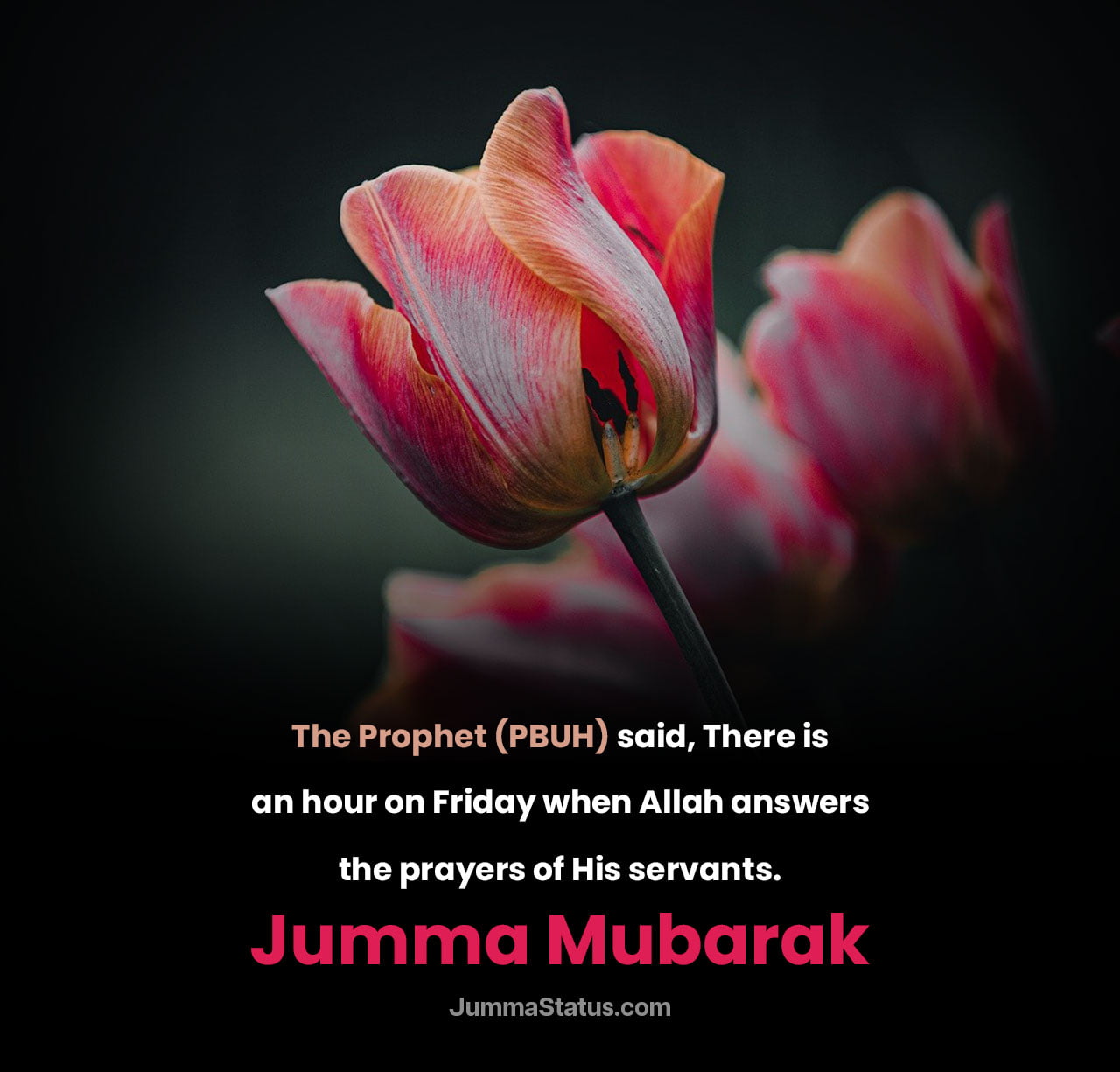 Hadith-on-Jumma-1 Hadith-on-Jumma-1