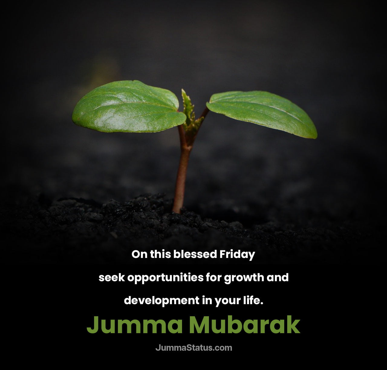 Jumma-Mubarak-Quotes-for-Personal-Growth Jumma-Mubarak-Quotes-for-Personal-Growth