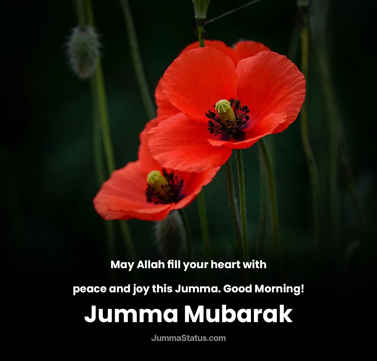 Blessings-for-a-Peaceful-Jumma