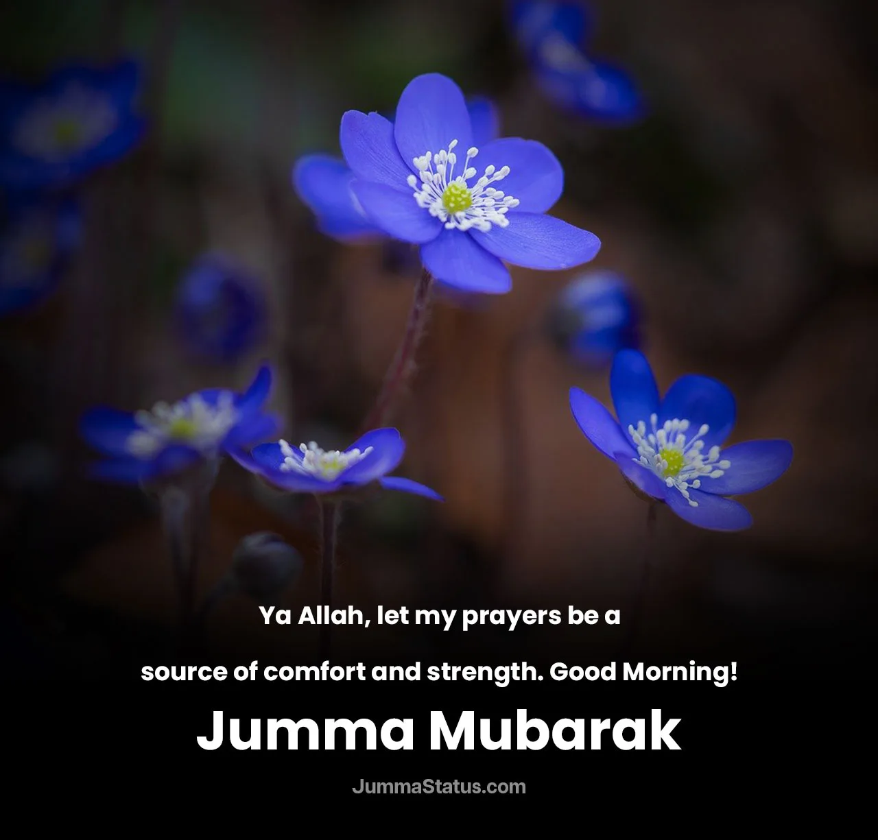Friday-Morning-Peaceful-Duas-1