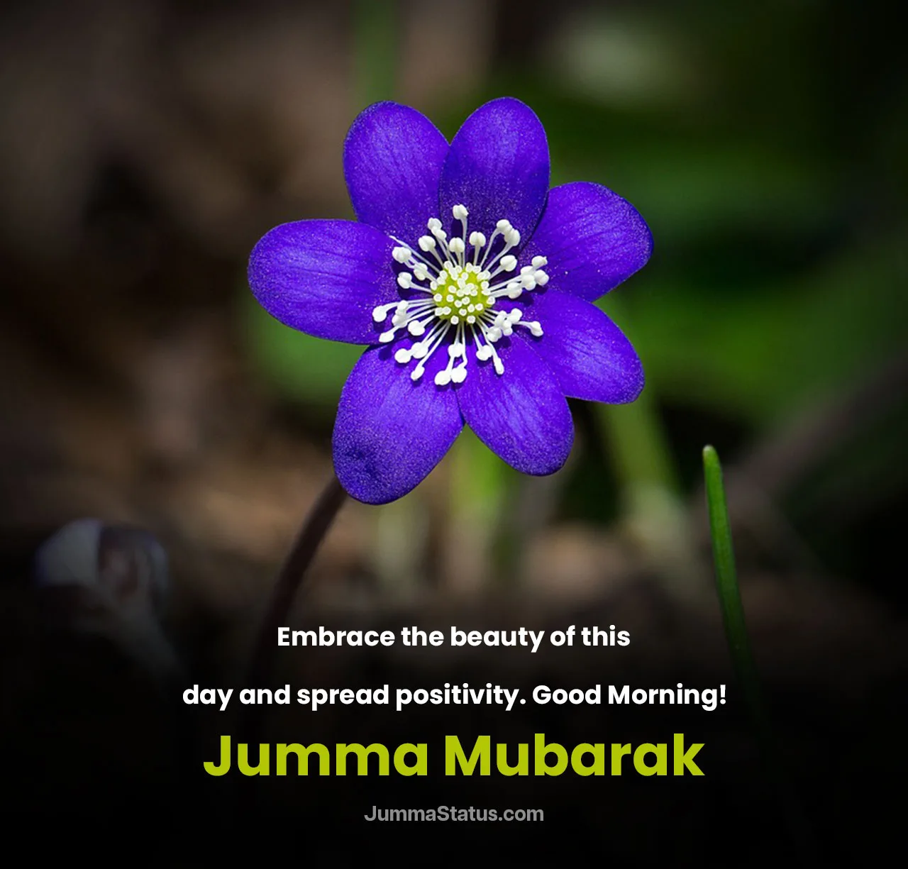 Good-Morning-Jumma-Mubarak-Status
