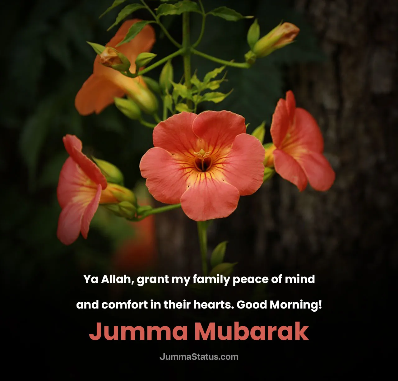 Good-Morning-Prayers-for-Loved-Ones-1