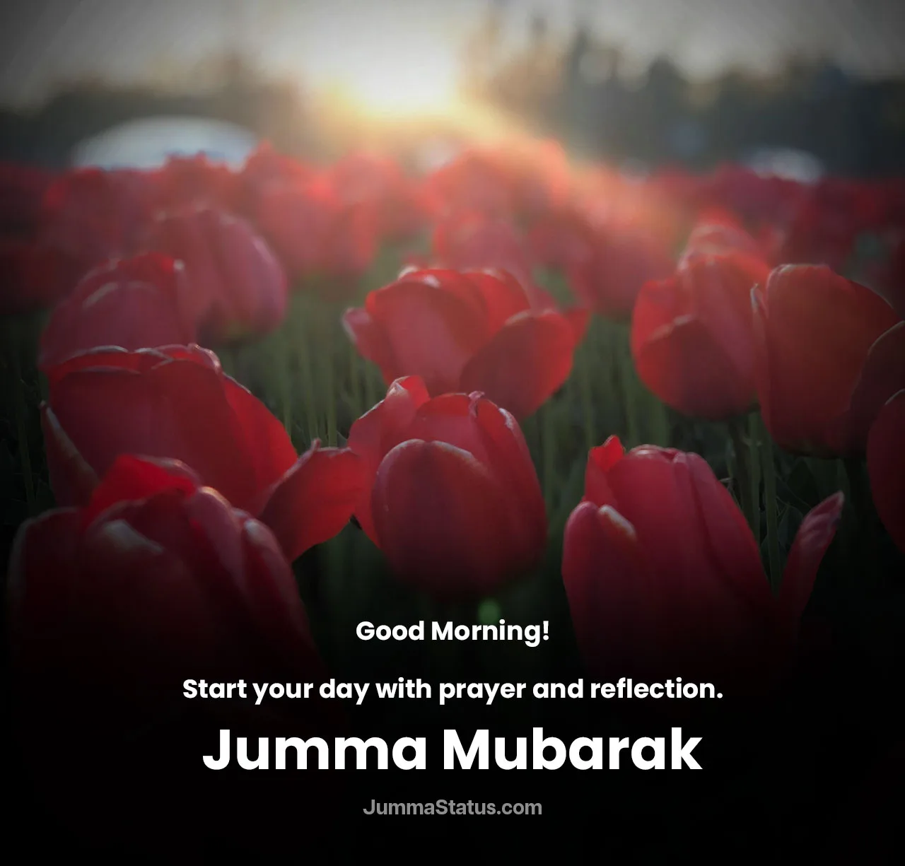 Jumma-Mubarak-Dp-8 Jumma-Mubarak-Dp-8