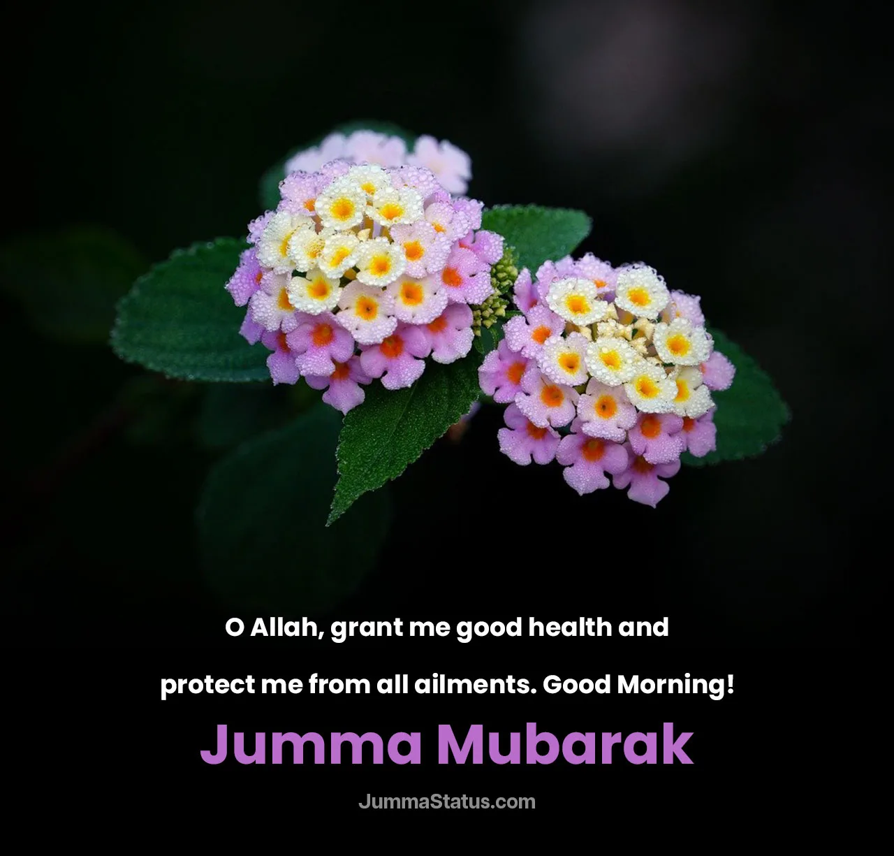 Morning-Duas-for-Health