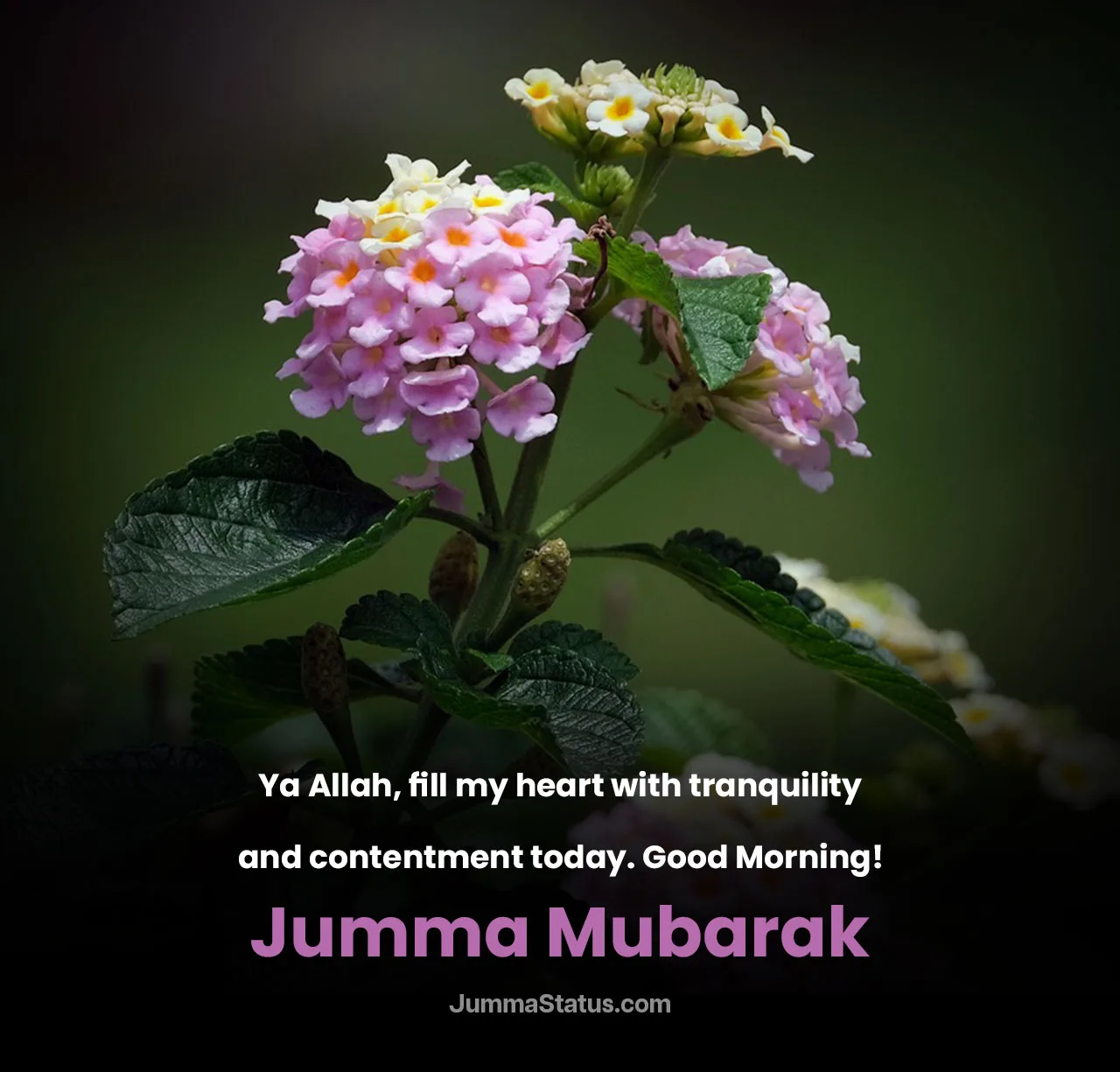 Peaceful-Good-Morning-Jumma-Duas